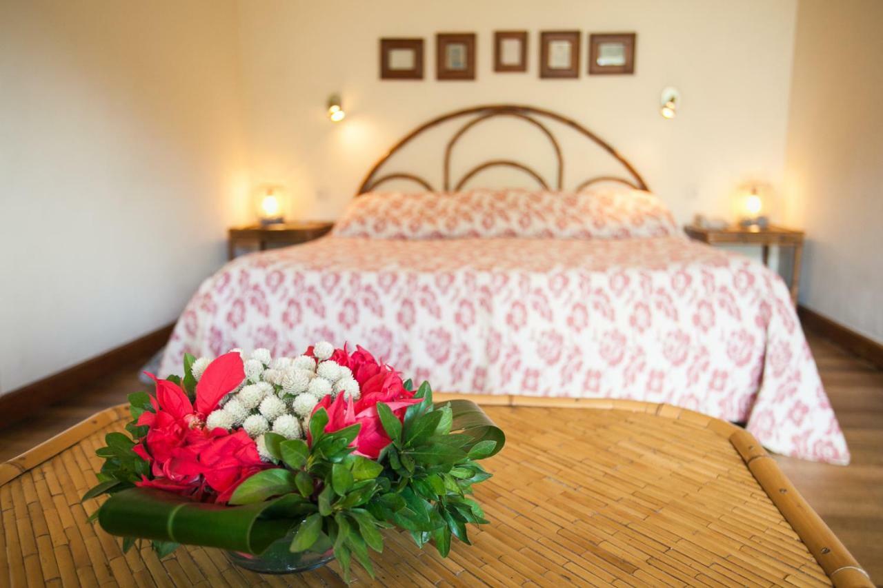 Tsara Guest House Fianarantsoa Exterior foto